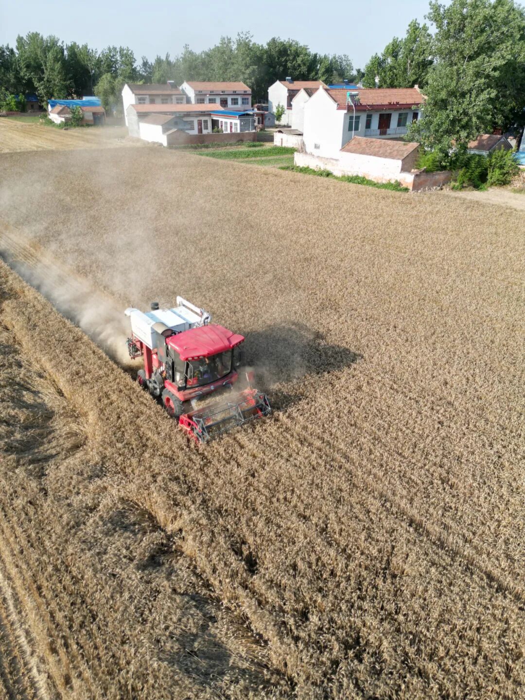 30年只做一件事:為什么越來越多農(nóng)機手認(rèn)準(zhǔn)「中聯(lián)收獲」? 30年只做一件事:為什么越來越多農(nóng)機手認(rèn)準(zhǔn)「中聯(lián)收獲」?(圖6)