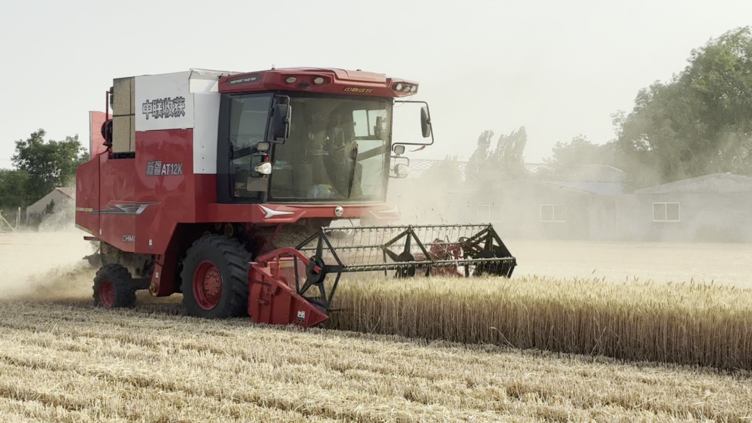 30年只做一件事:為什么越來越多農(nóng)機手認(rèn)準(zhǔn)「中聯(lián)收獲」? 30年只做一件事:為什么越來越多農(nóng)機手認(rèn)準(zhǔn)「中聯(lián)收獲」?(圖8)